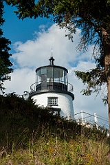 Owls Head Lighthouse Surrounded by Evergreens
